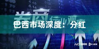 巴西市场深度：分红